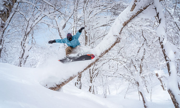 星野リゾート ネコママウンテン